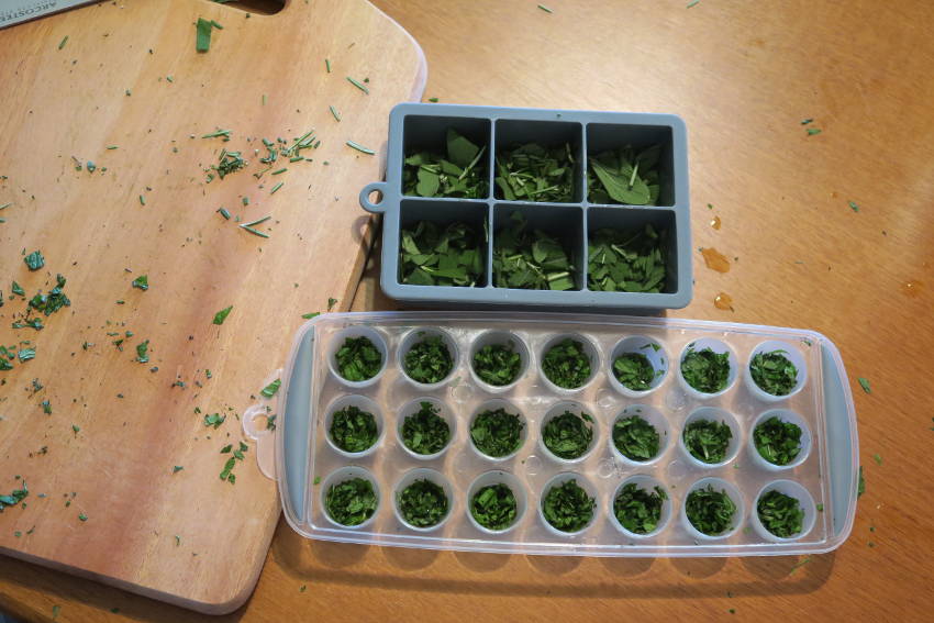 Herb ice cubes 5